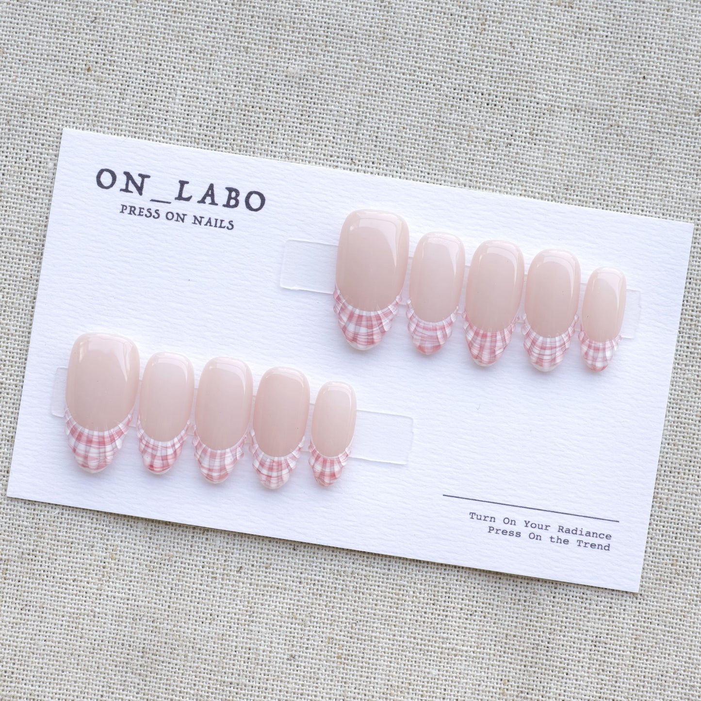 Pink Conch